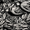 Te Papa Tea Towels- Mervyn Taylor
