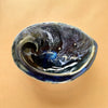 Sam Genet Pottery Paua Shells