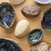 Sam Genet Pottery Paua Shells