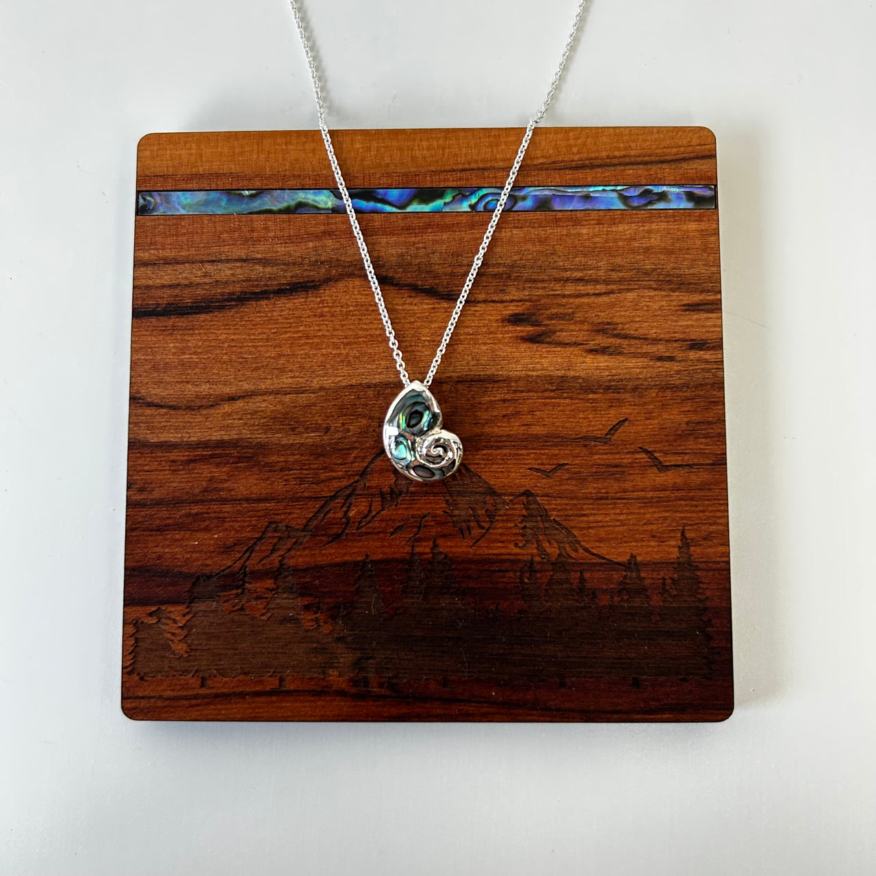 S/S & Paua Spirula Shell  Necklace