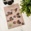 Pop out Native Bird Wall Sets  A4