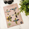 Pop out Native Bird Wall Sets  A4