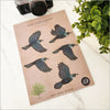 Pop out Native Bird Wall Sets  A4