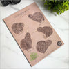 Pop out Native Bird Wall Sets  A4